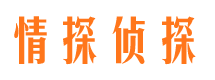 定结侦探公司